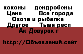 коконы    дендробены › Цена ­ 25 - Все города Охота и рыбалка » Другое   . Тыва респ.,Ак-Довурак г.